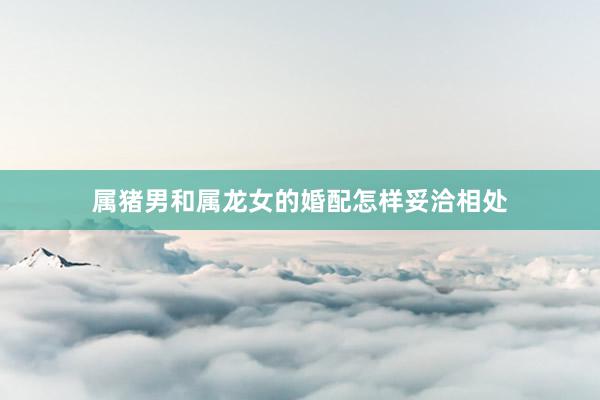属猪男和属龙女的婚配怎样妥洽相处